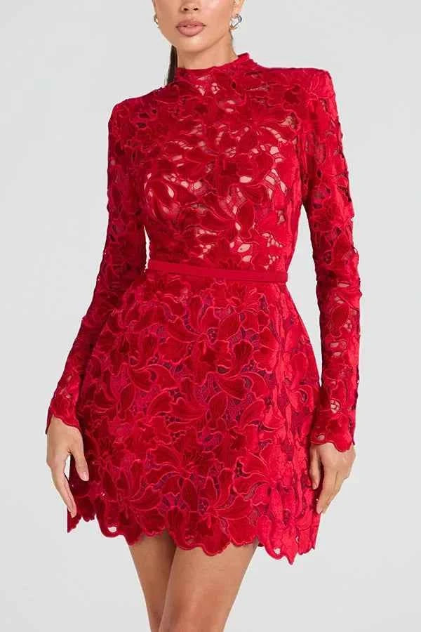 Long Sleeve Simple Elegant Mini Dress