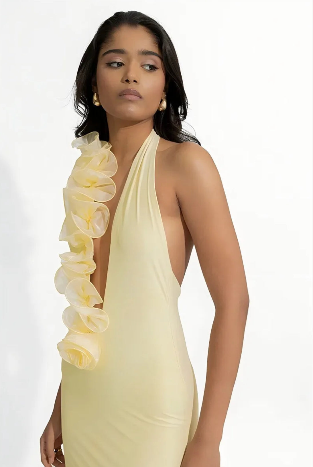 Mesh Rose Deep V Neck Maxi Dress For Women