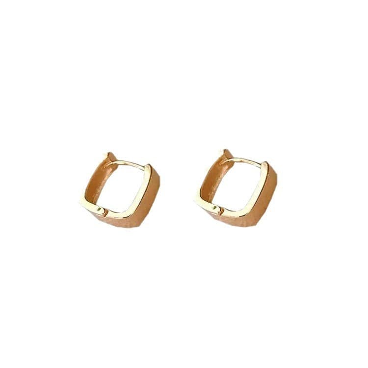 New Niche Design Simple Geometric U-shaped Earrings Women - electronic accessories