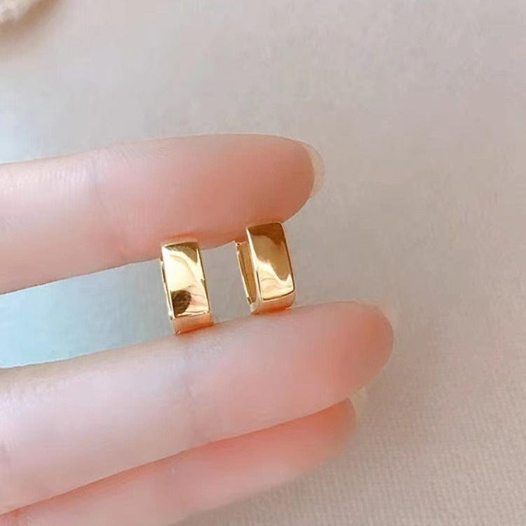 New Niche Design Simple Geometric U-shaped Earrings Women - electronic accessories