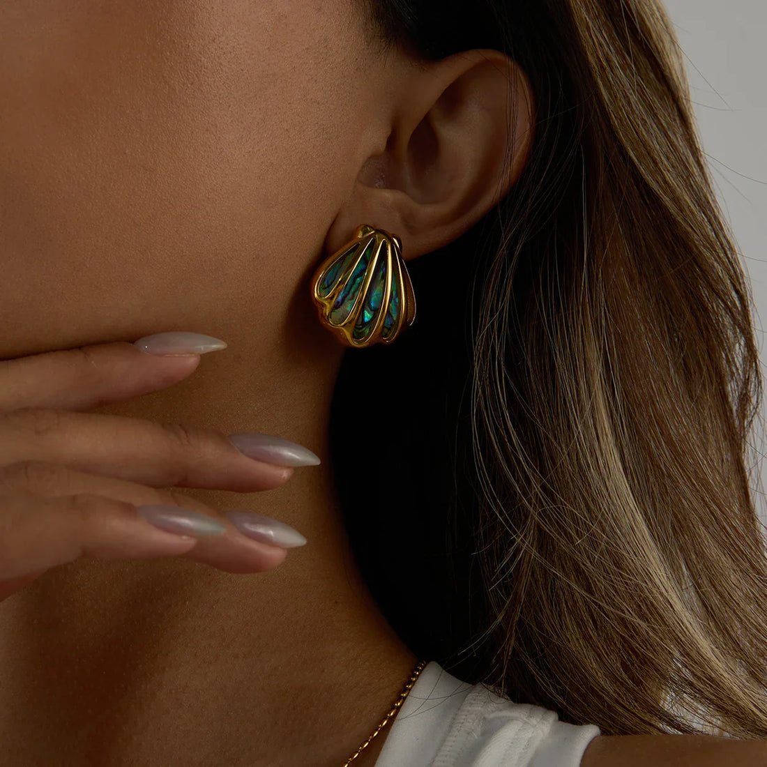 Ocean Shell Colored Abalone Shell Earrings Stainless Steel