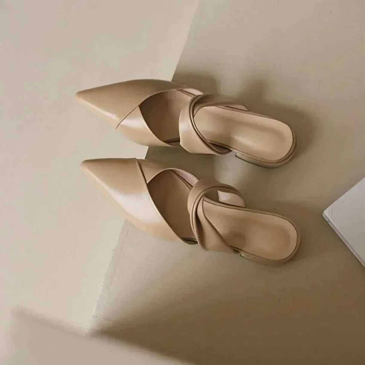 Pointed Toe Shoes Women's Slippers