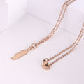 Simple Titanium Steel Clavicle Chain Leaf Pendant Long Necklace - electronic accessories