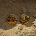 Stainless Steel Big Textured Shell Stud Earrings - JDEW2307045