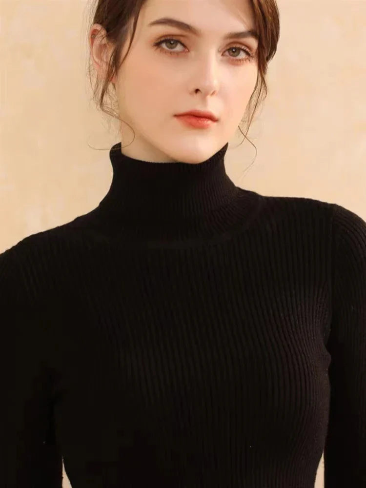 Turtleneck Jumper Woman Knitted Blouse - Black / One Size