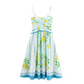 Women’s Lemon Printing Dress - Picture Color / L - Other